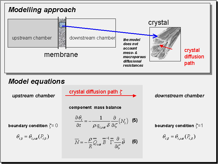 schematic drawing of a membrane